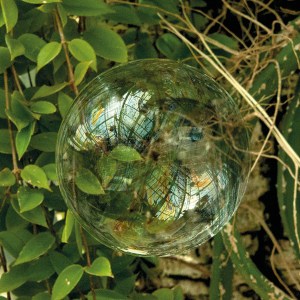 Seifenblasen auf Reisen