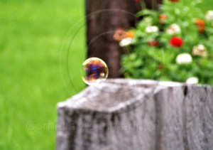 Seifenblasen auf Reisen