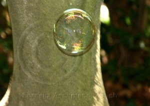 Seifenblasen auf Reisen