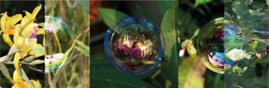 Fotografie-Kombination von Cornelia Aschmann, Zürich