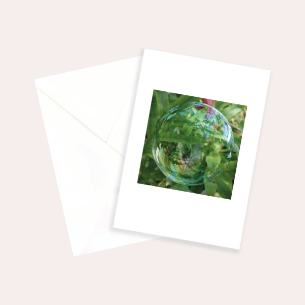 Sukkulentensammlung Zürich