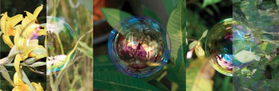 «Dschungel» 200 x 66 cm aus "Seifenblasen auf Reisen" Fotoprojekt Cornelia Aschmann, Zürich